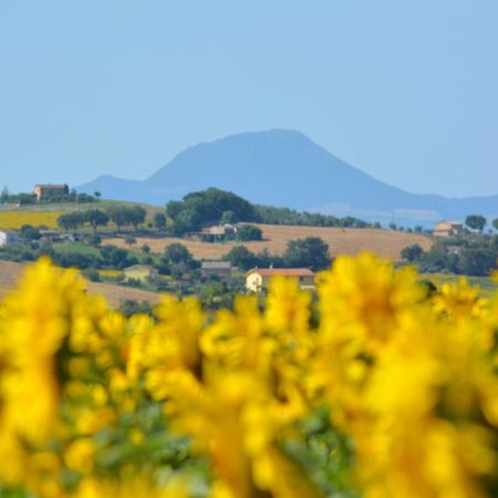 Casale Dei Cinque Colli Villa Ostra Bagian luar foto