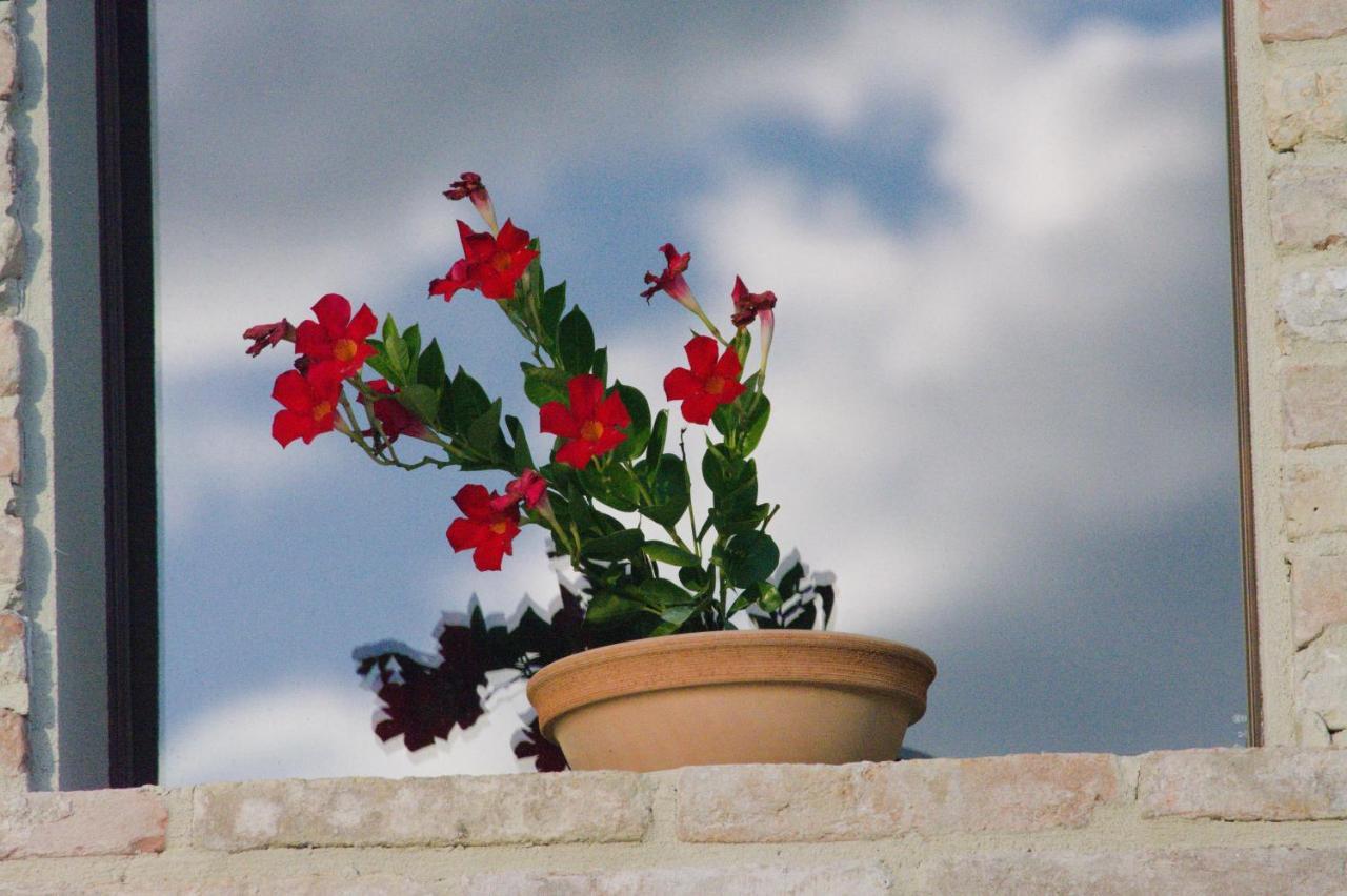 Casale Dei Cinque Colli Villa Ostra Bagian luar foto