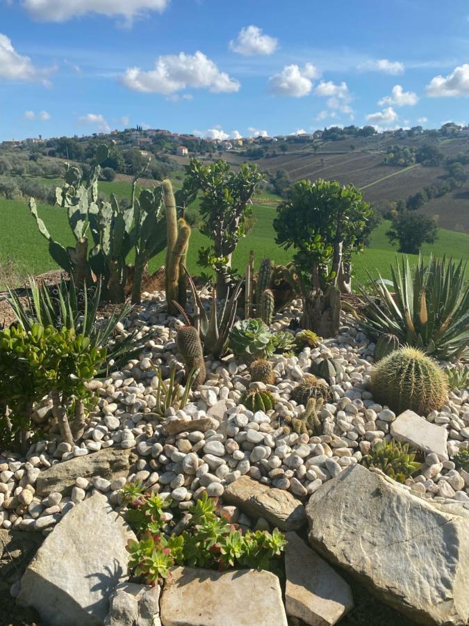 Casale Dei Cinque Colli Villa Ostra Bagian luar foto