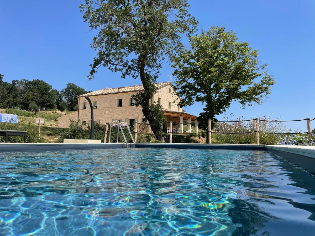Casale Dei Cinque Colli Villa Ostra Bagian luar foto