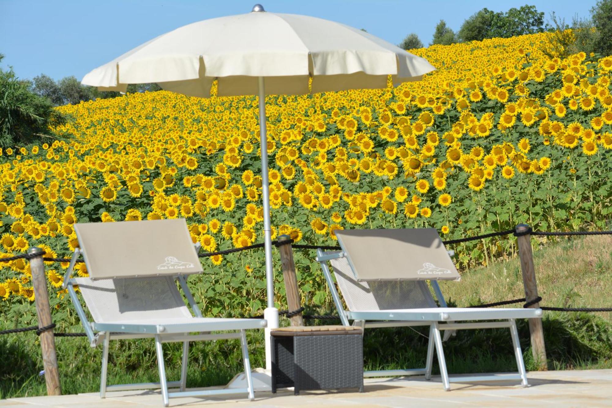 Casale Dei Cinque Colli Villa Ostra Bagian luar foto